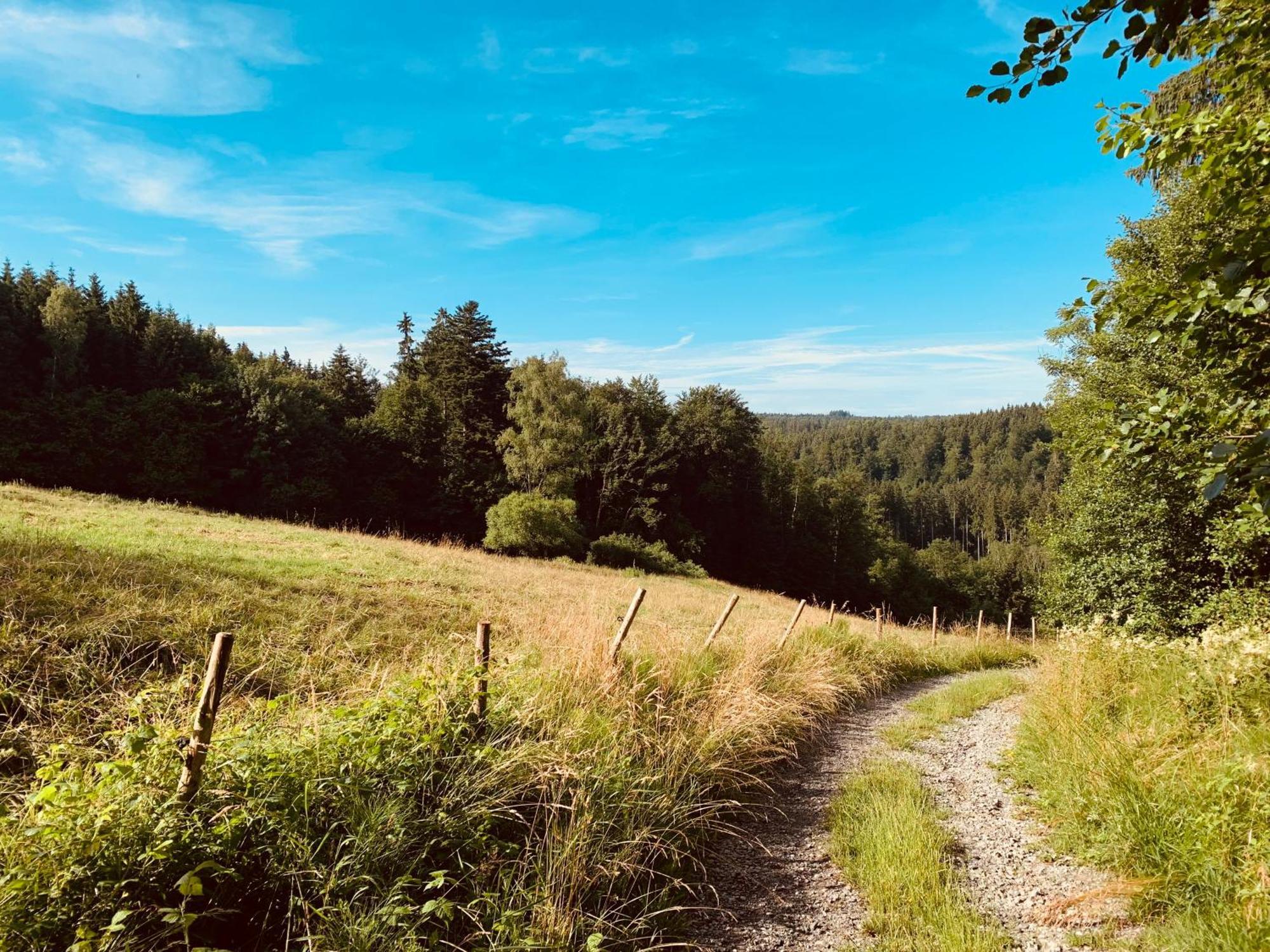 Hjem - Tiny Homes Direkt Am Wald Zwischen Allgaeu & Bodensee Bergatreute Exteriör bild